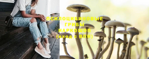 мескалин Нефтегорск