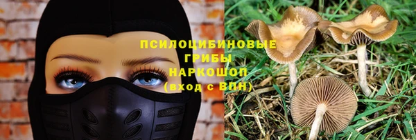 прущие крисы Нея